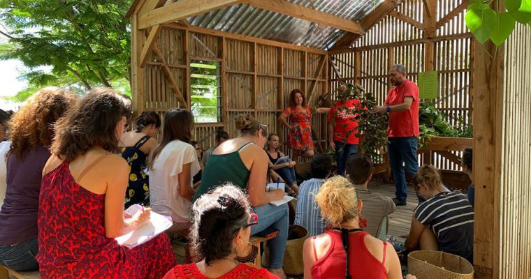 Atelier : les plantes médicinales et leurs vertus au jardin nurserie